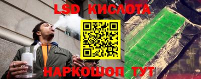 гашик Дубна