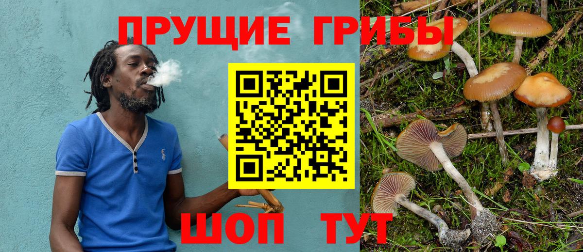 Малоярославец  Галлюциногенные грибы Psilocybe  Галлюциногенные грибы Magic Shrooms  Вход с VPN 