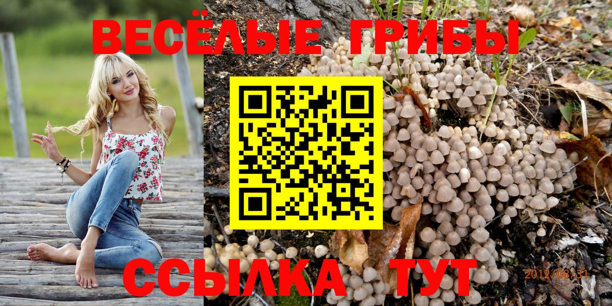 Галлюциногенные грибы Magic Shrooms Малоярославец